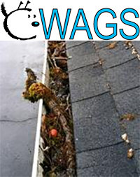CWAGS Inc