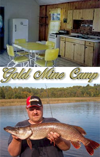 Gold Mine Camp