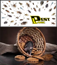 Pest Logic